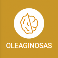 oleaginosas